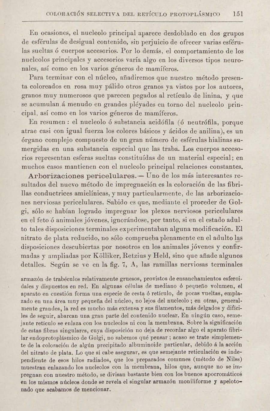 Página de un texto científico sobre un método de coloración selectiva del retículo protoplasmático, con descripciones de la estructura celular y observaciones sobre el núcleo y los cuerpos intranucleares accesorios.