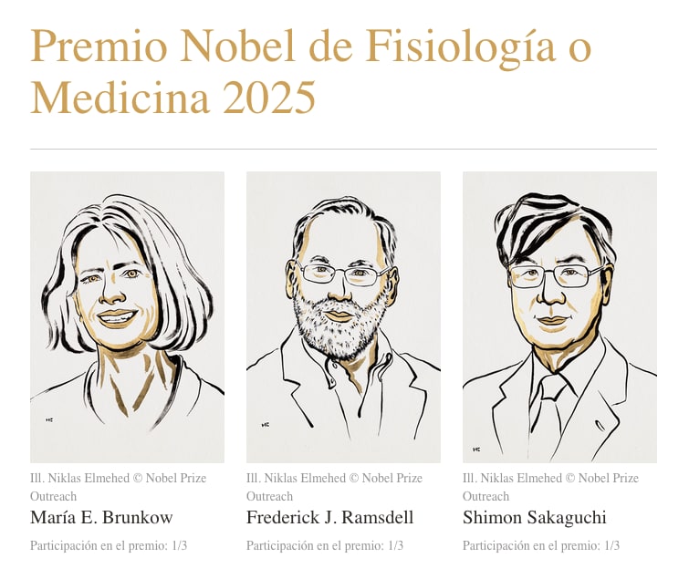 Premio Nobel de Fisiología o Medicina 2025: María E. Brunkow, Frederick J. Ramsdell y Shimon Sakaguchi