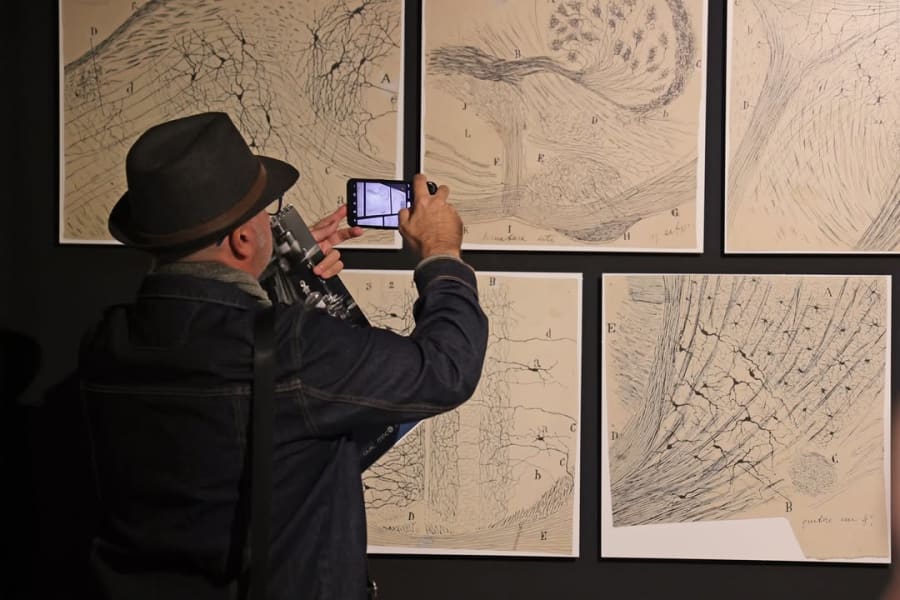 Un hombre con sombrero, de espaldas, toma fotos de ilustraciones científicas en una galería. Las imágenes muestran detalles de estructuras neuronales, con líneas y patrones en tonos sobre un fondo claro.
