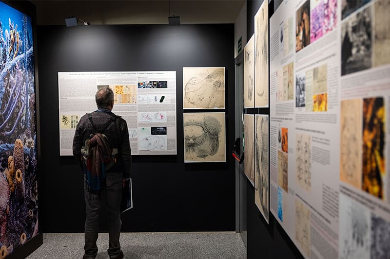 Un visitante observa exhibiciones en una galería, con paredes decoradas con ilustraciones científicas y textos relacionados con la neurociencia.