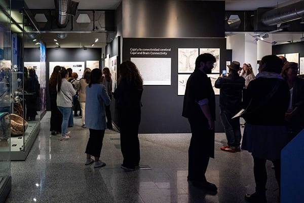 Vista de la exposición