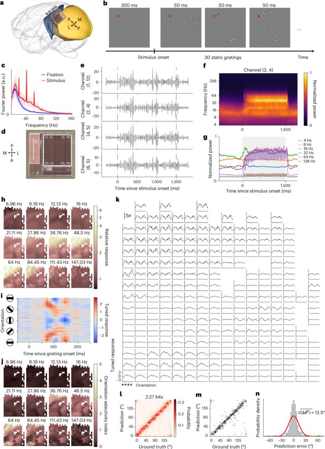 Diagrama conceptual que muestra la configuración del sistema BISC, colocándose sobre la piamadre y sellado bajo la duramadre.