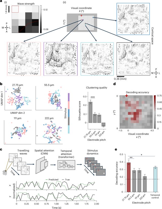 Diagram showing visual coordinate and wave strength with correlation to cortical space, exploring neural activity in relation to stimulus across different electrode pitches.