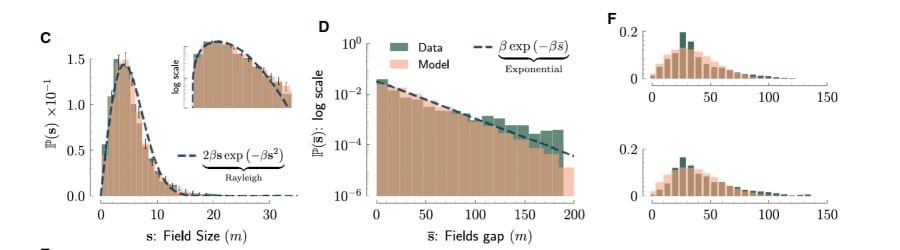 (Autofagia Neuronal): Es el diagrama esquemático central de la revisión de Karpova, Haucke, Kreutz et al.. Ilustra la "logística de precisión" al mostrar cómo se recicla la proteína $ATG9$ en la sinapsis para formar autofagosomas y cómo estos se transforman en amphisomas para señalizar el estado vital de la neurona hacia el núcleo celular.