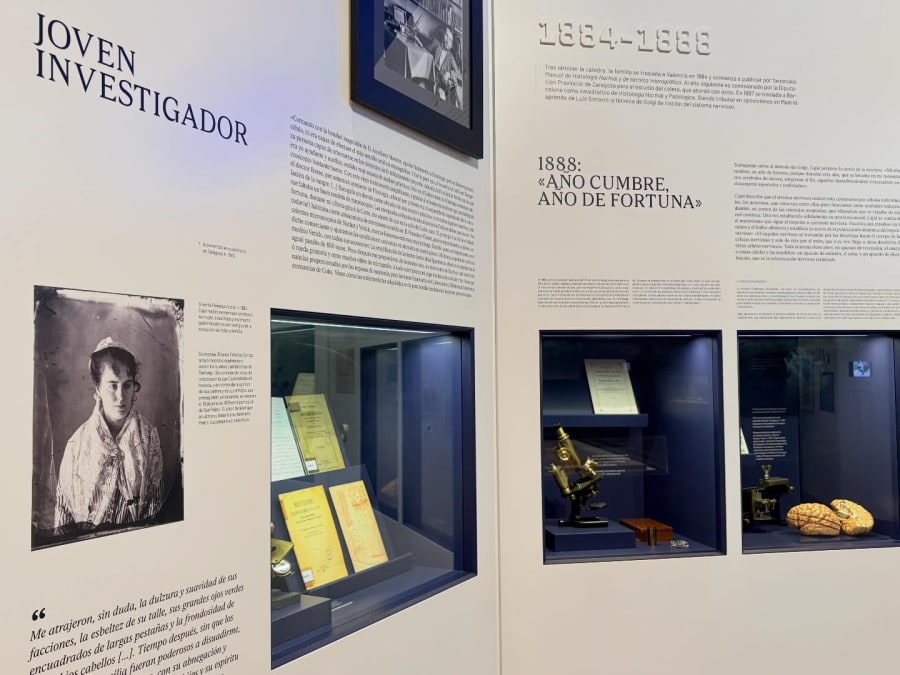 La consagración de la memoria: el impacto social y científico del Espacio Cajal ante el hito de los 40.000 visitantes