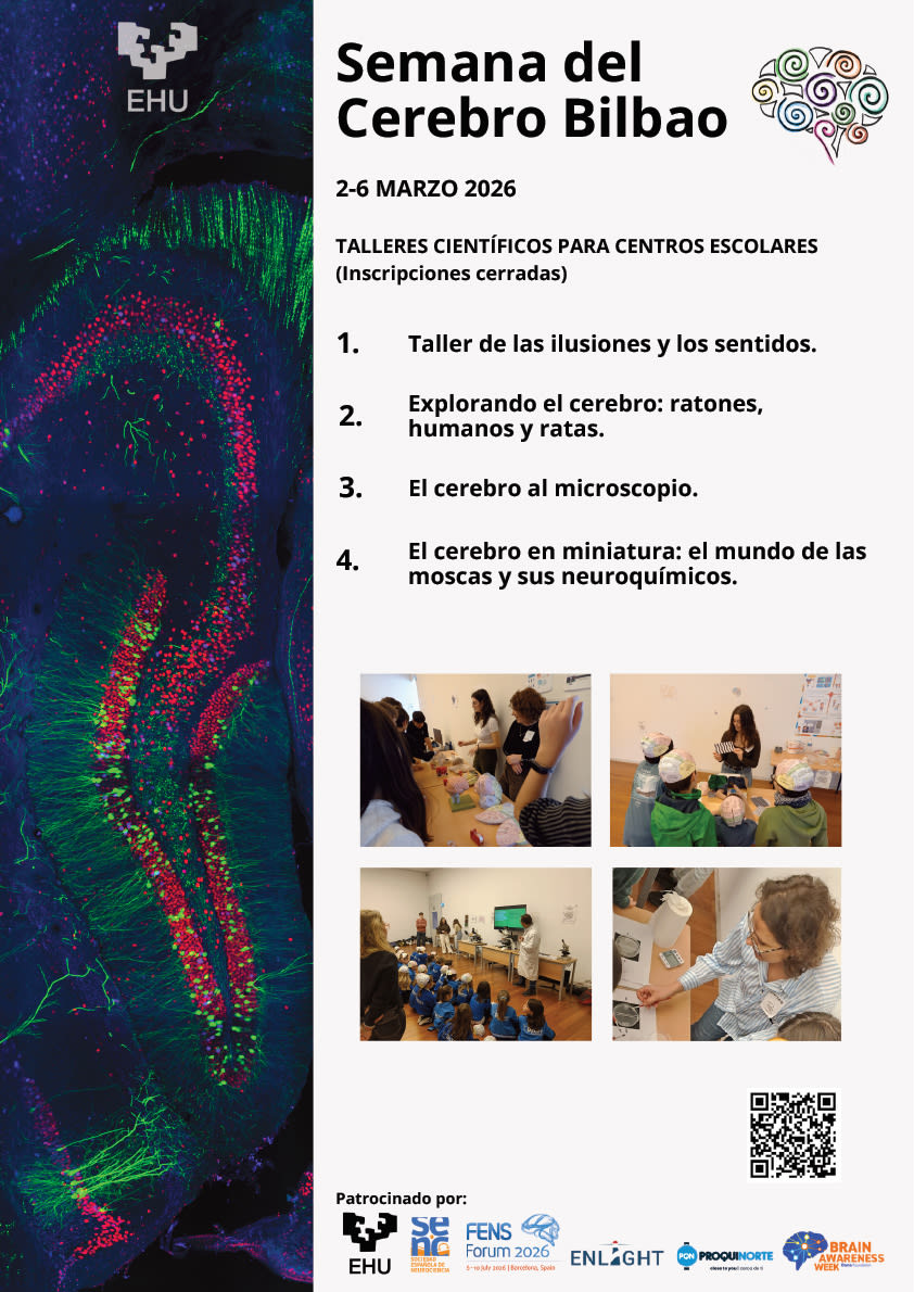 Cartel de la Semana del Cerebro en Bilbao, del 2 al 6 de marzo de 2026. Incluye talleres científicos para centros escolares y una lista de actividades como el taller de ilusiones y los sentidos, exploración del cerebro, y más.