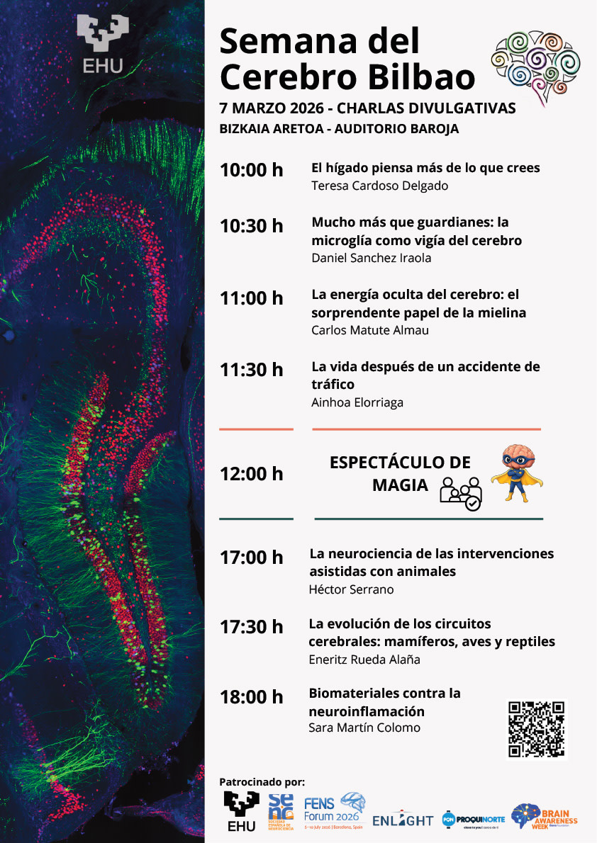 Cartel de la Semana del Cerebro en Bilbao con horarios y temas de charlas sobre neurociencia, incluyendo la importancia de la microglía y la mielina.