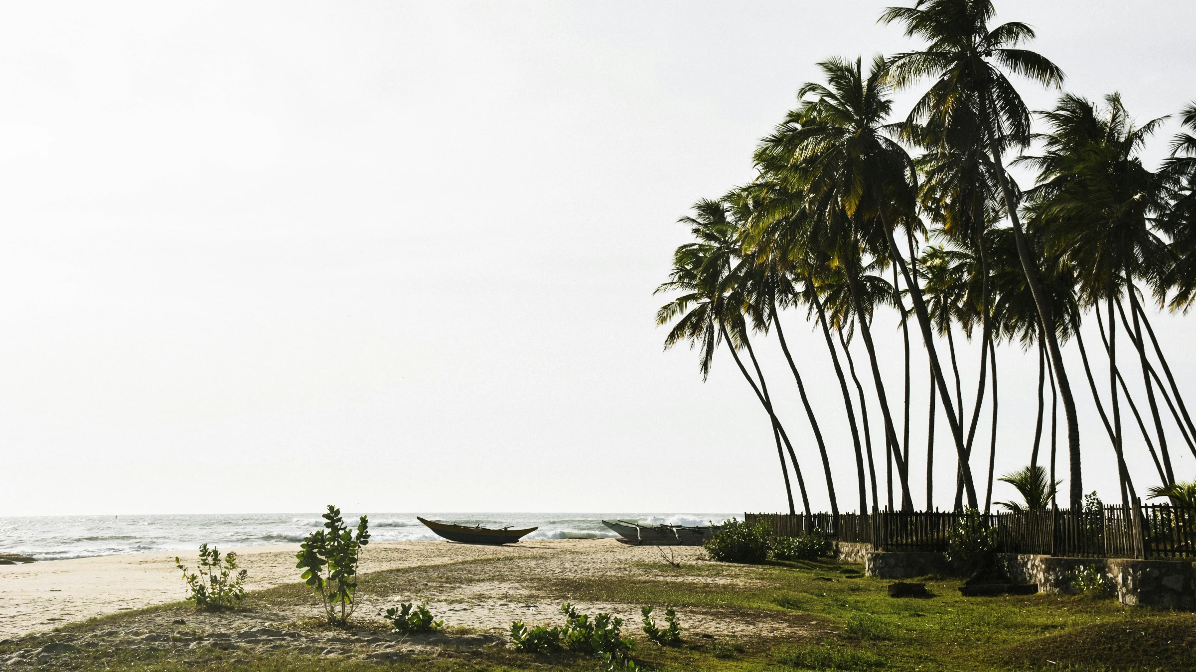 Strand in Sri lanka