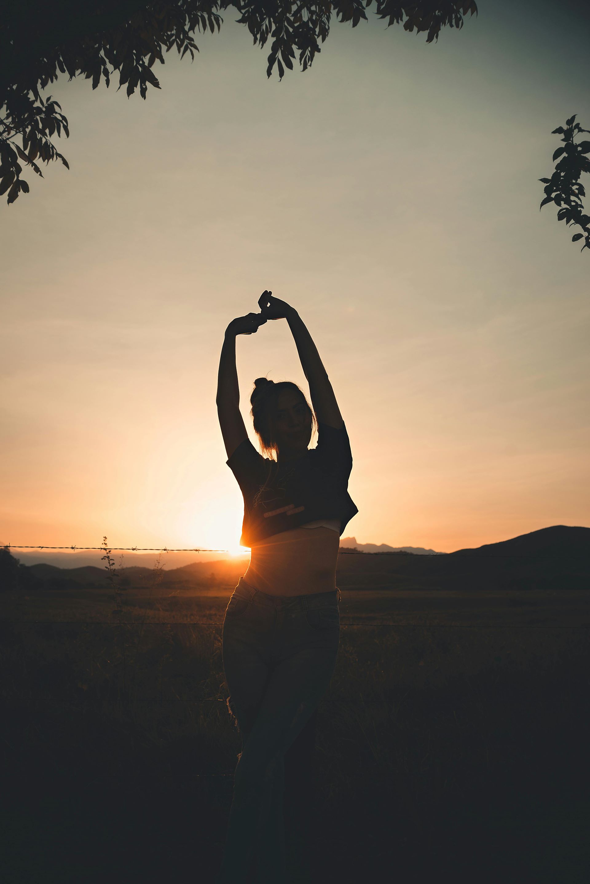 Wellness