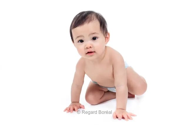 Photo du québec - Regard Boréal