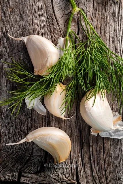 Gousses d'ail. Produit frais. Saveurs. Légume. Aliment. Bois - Regard Boréal