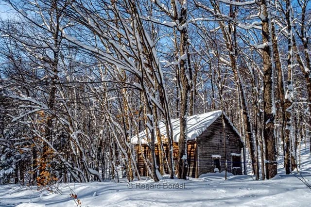Neige. Cabane. Hiver au Québec. Foret. Bois. Érablière. Beauce - Regard Boréal