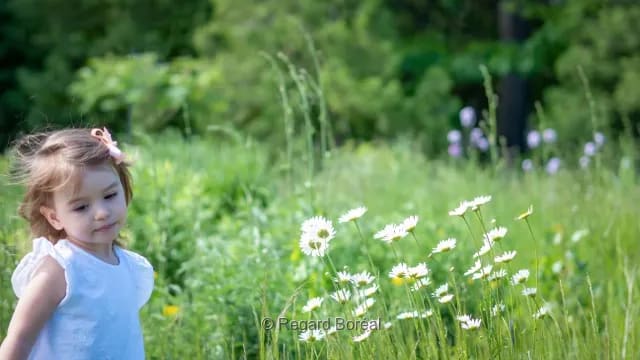 Enfant. Fille. Flore du Québec. Champs. Fleurs. Marguerites.  Été au Québec - Regard Boréal