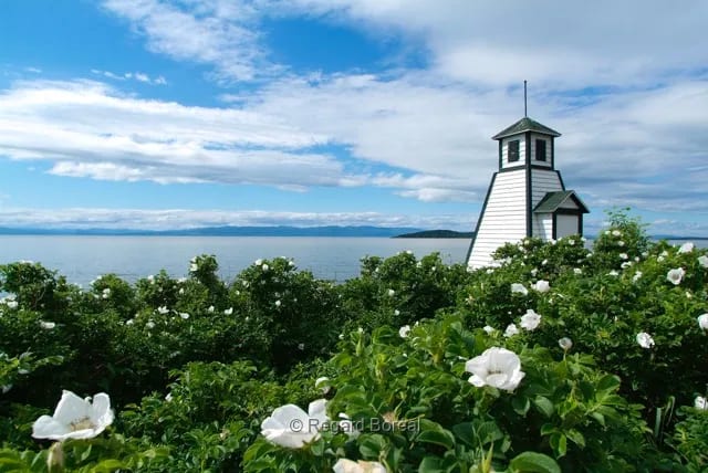 Phare. Patrimoine. Paysage du Québec. Champ. Fleurs. Bas-Saint-Laurent. Région du Québec - Regard Boréal