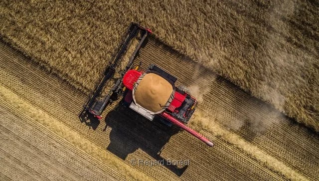 Drone. Champ. Récolte. Blé. Agriculteur. Montérégie. Région du Québec - Regard Boréal