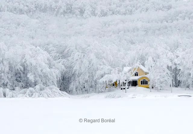 Hiver au Québec. Neige. Maison. Forêt. Tempête - Regard Boréal