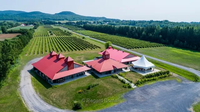 Drone. Vignoble. Domaine. Saveurs. Vin. Montérégie. Région du Québec - Regard Boréal