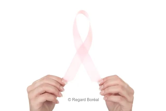 Cancer du sein. Solidarité. Ruban rose. Courage. Espoir. Force. Entraide - Louis-Paul St-Onge - Regard Boréal