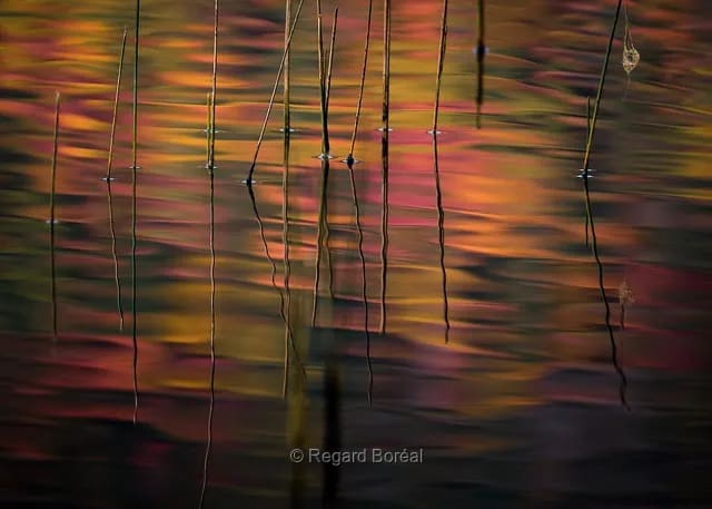 Abstrait. Réflexion. Couleurs. Automne au Québec. Lac - Regard Boréal