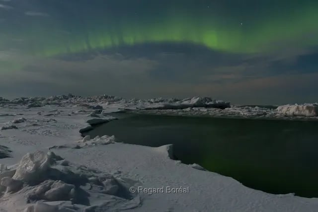 Aurores boréales. Paysage du Québec. Hiver au Québec. Ciel. Nocturne. Observation - Regard Boréal