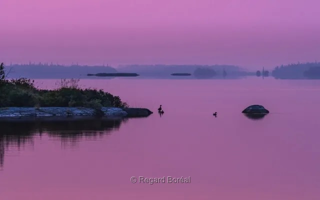 Paysage du Québec. Ciel rose. Calme. Oiseaux. Été au Québec. Abitibi-Témiscamingue. Région du Québec - Johanne Gagné - Regard Boréal