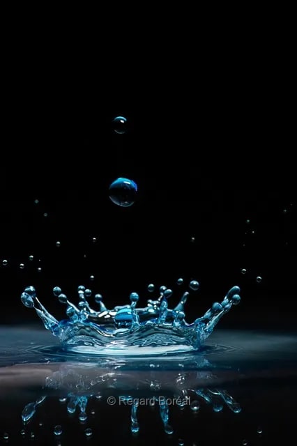 Éclat. Goutte d'eau. Effet. Mouvement. Bulles. Artistique. Culinaire - Regard Boréal