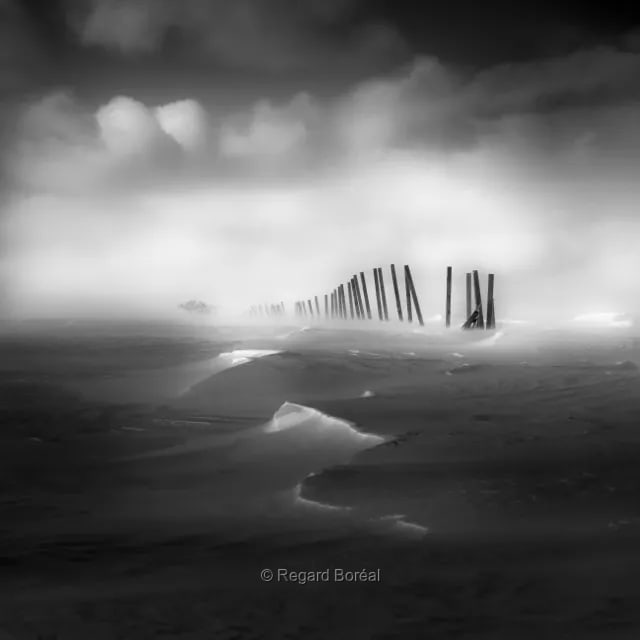 Paysage du Québec. Noir et blanc. Gel. Froid. Neige. Hiver au Québec. Champ. Clôture. Ile d'Orléans. Scène hivernale. Monochrome - Regard Boréal