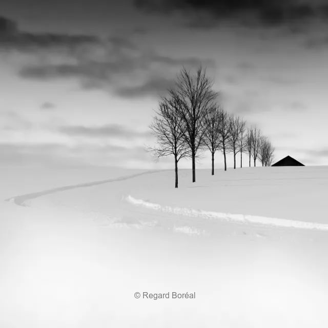Paysage du Québec. Noir et blanc. Arbre. Minimalisme. Neige. Hiver au Québec. Maison dans un champ. Scène hivernale. Monochrome - Regard Boréal