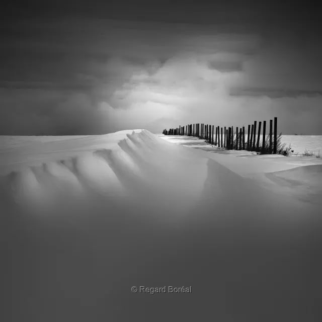 Paysage du Québec. Noir et blanc. Neige. Hiver au Québec. Champ. Clôture. Ile d'Orléans. Scène hivernale. Monochrome - Regard Boréal
