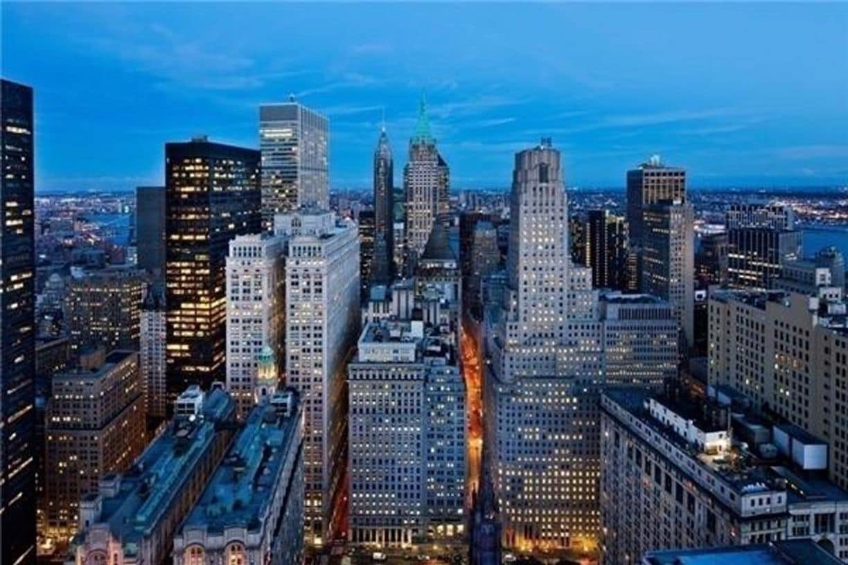 1BD Luxury Condo at W Downtown Residences, Lower Manhattan