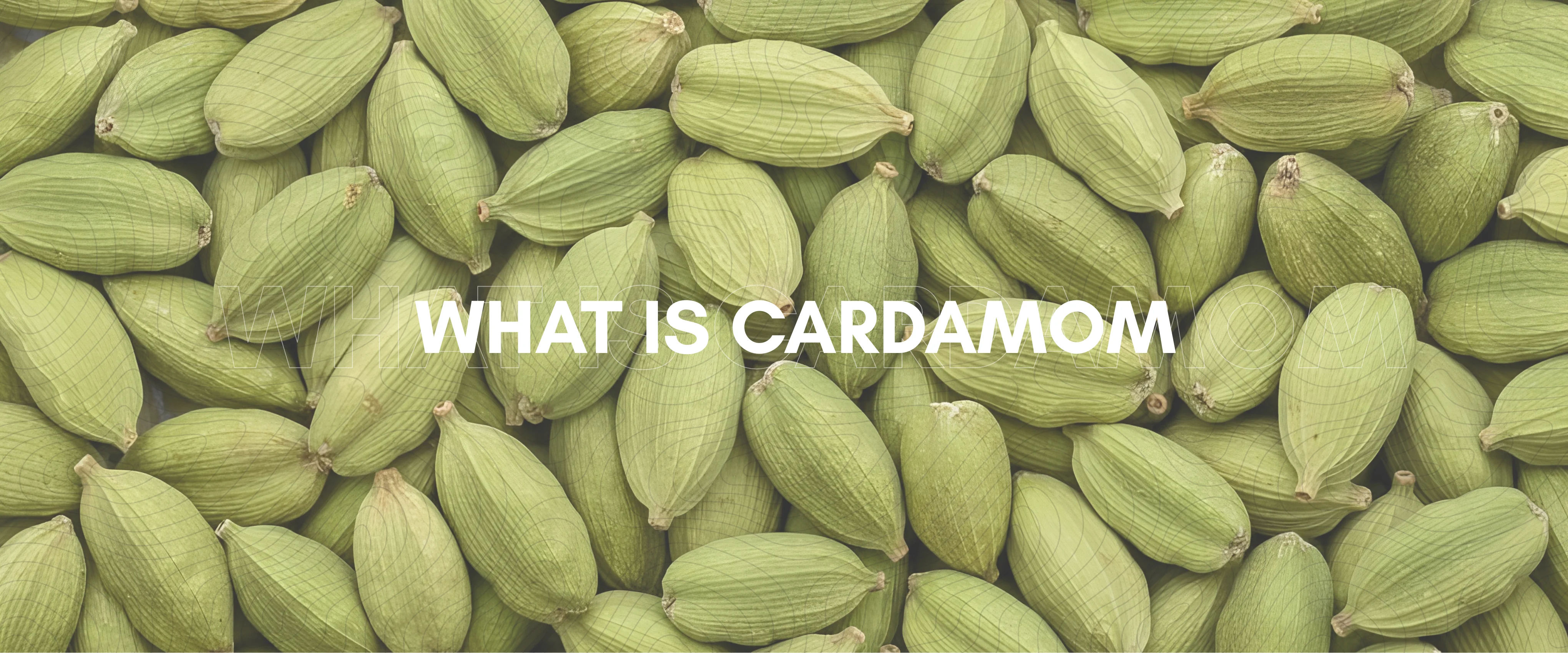 Cardamom Mobile