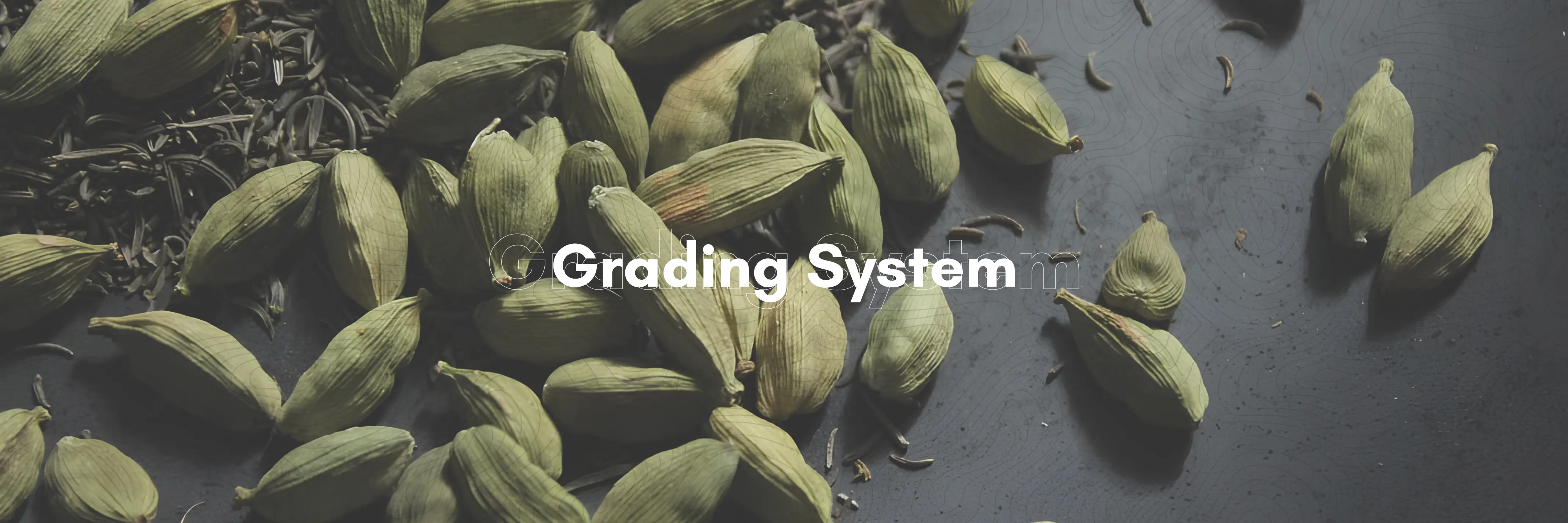 Cardamom Desktop