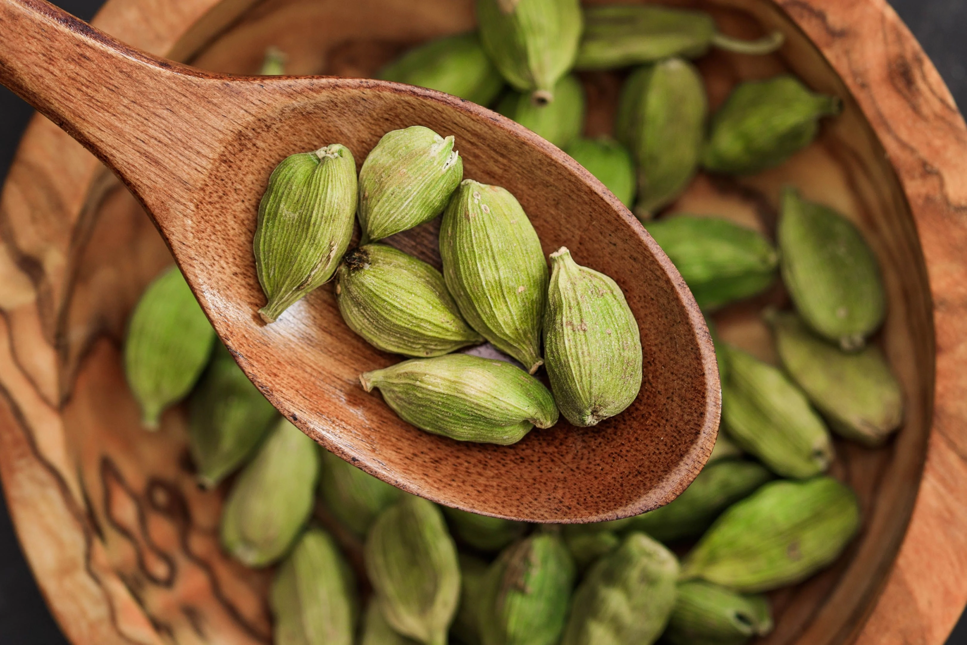 Cardamom Plantation