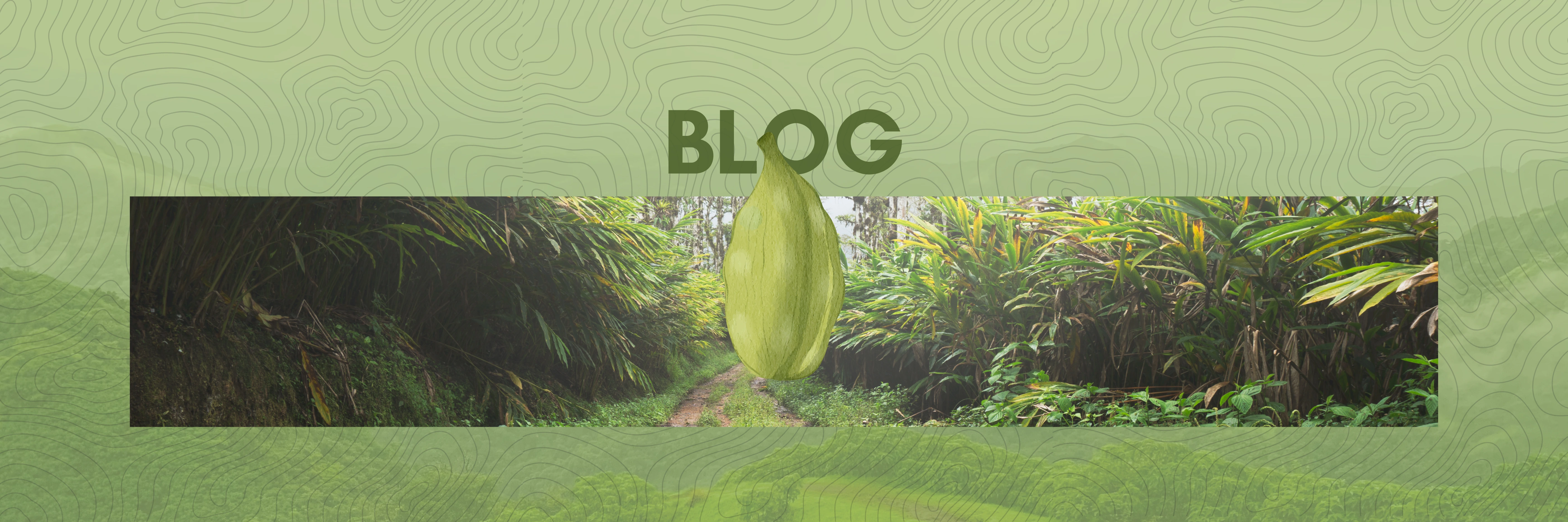 Blog Desktop