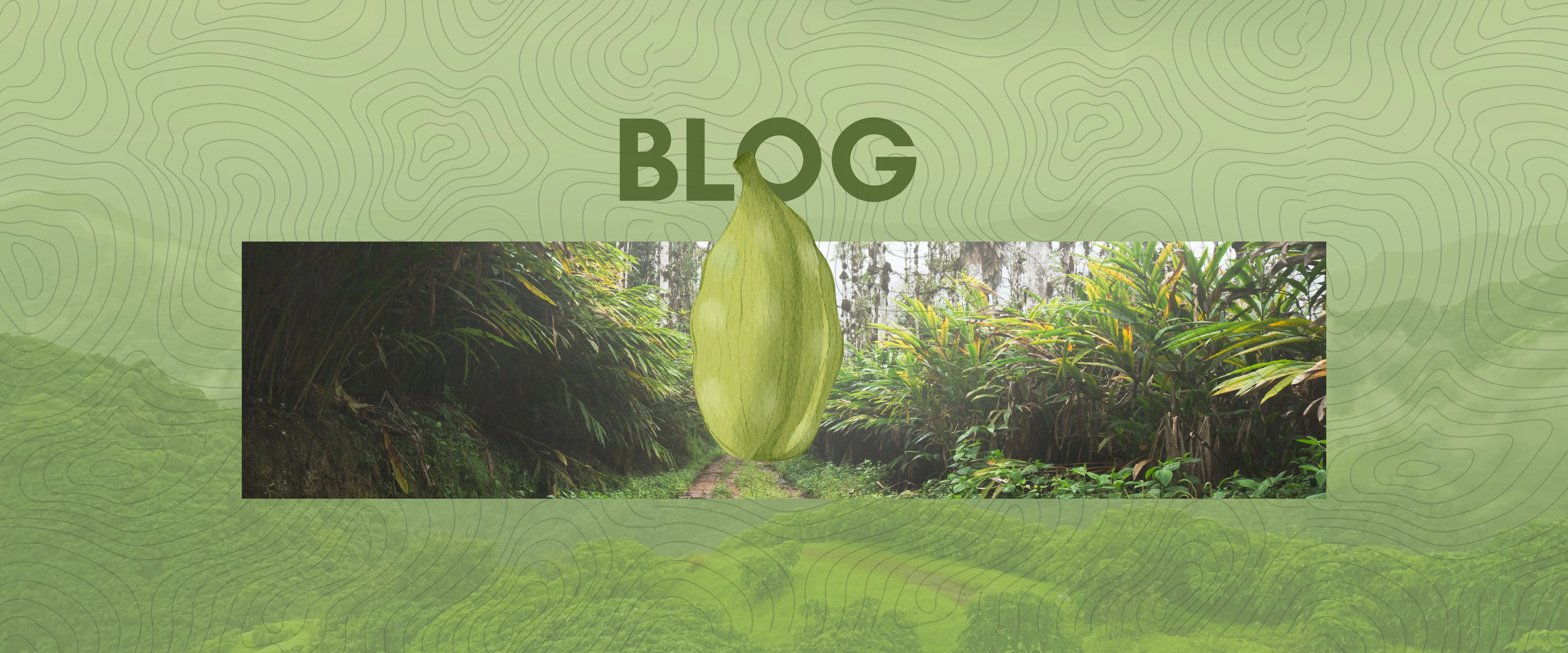 Blog Mobile