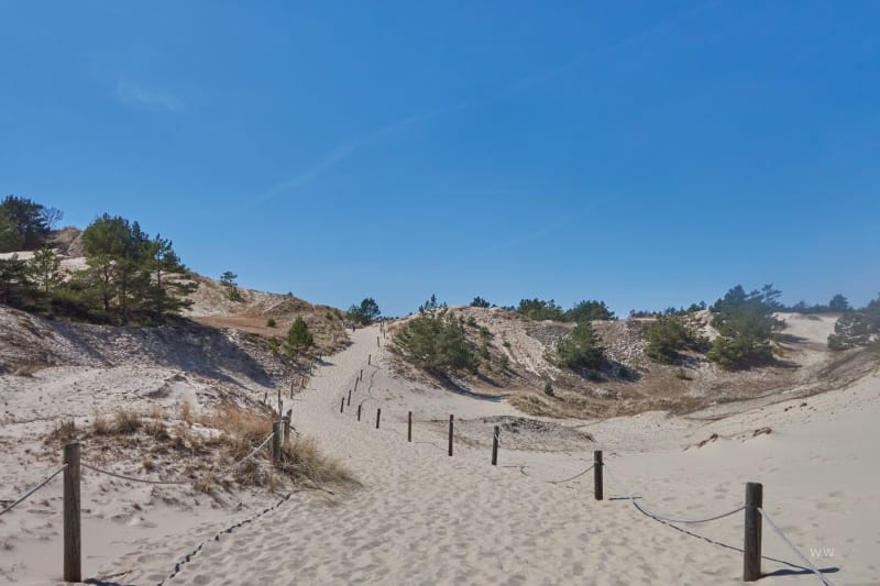 Wydmy, Czołpino — 9