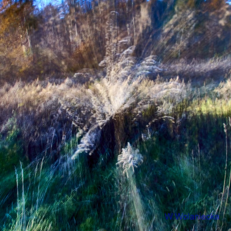 poruszone — 11