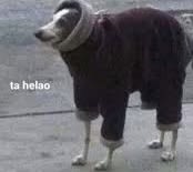 Ta helao