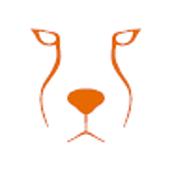 Acinonyx Web Agency-logo