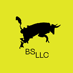 BS LLC-logo