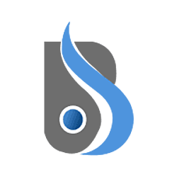 Baniwal Infotech-logo
