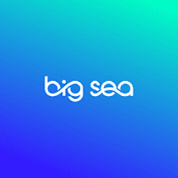 Big Sea-logo