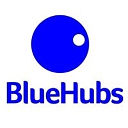 BlueHubs Digital Marketing Agency-logo