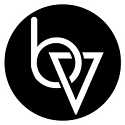 Brand Vision-logo