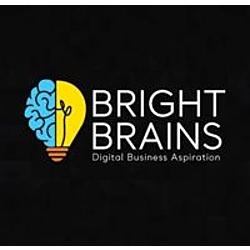 Bright Brains Information Technology-logo