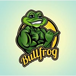Bullfrog Digital Marketing Agency & SEO Company-logo