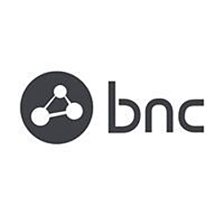 Business Network Consulting-logo