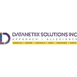 Datanetiix Solutions, Inc.-logo