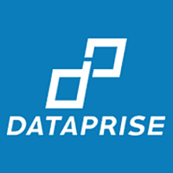 Dataprise-logo