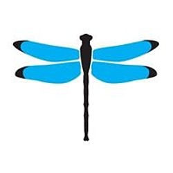 Dragonfly Digital Marketing-logo